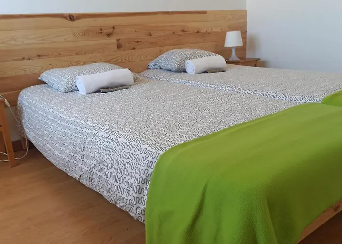 Housing | Tree The Company Peniche